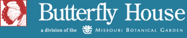The Butterfly House